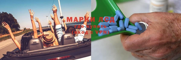 гидра Абаза