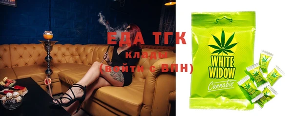 гидра Абаза